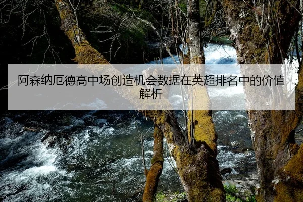 阿森纳厄德高中场创造机会数据在英超排名中的价值解析
